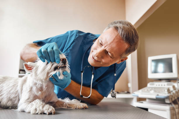 Best Walk-In Emergency Dentist in Clayton, NJ